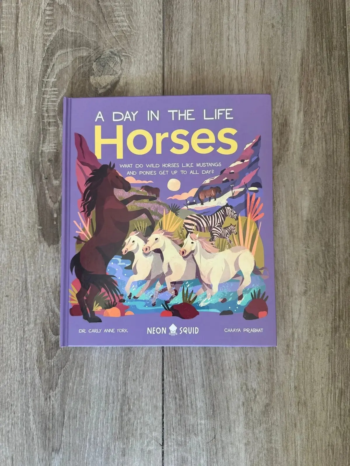 A Day In The Life Of Horses 1