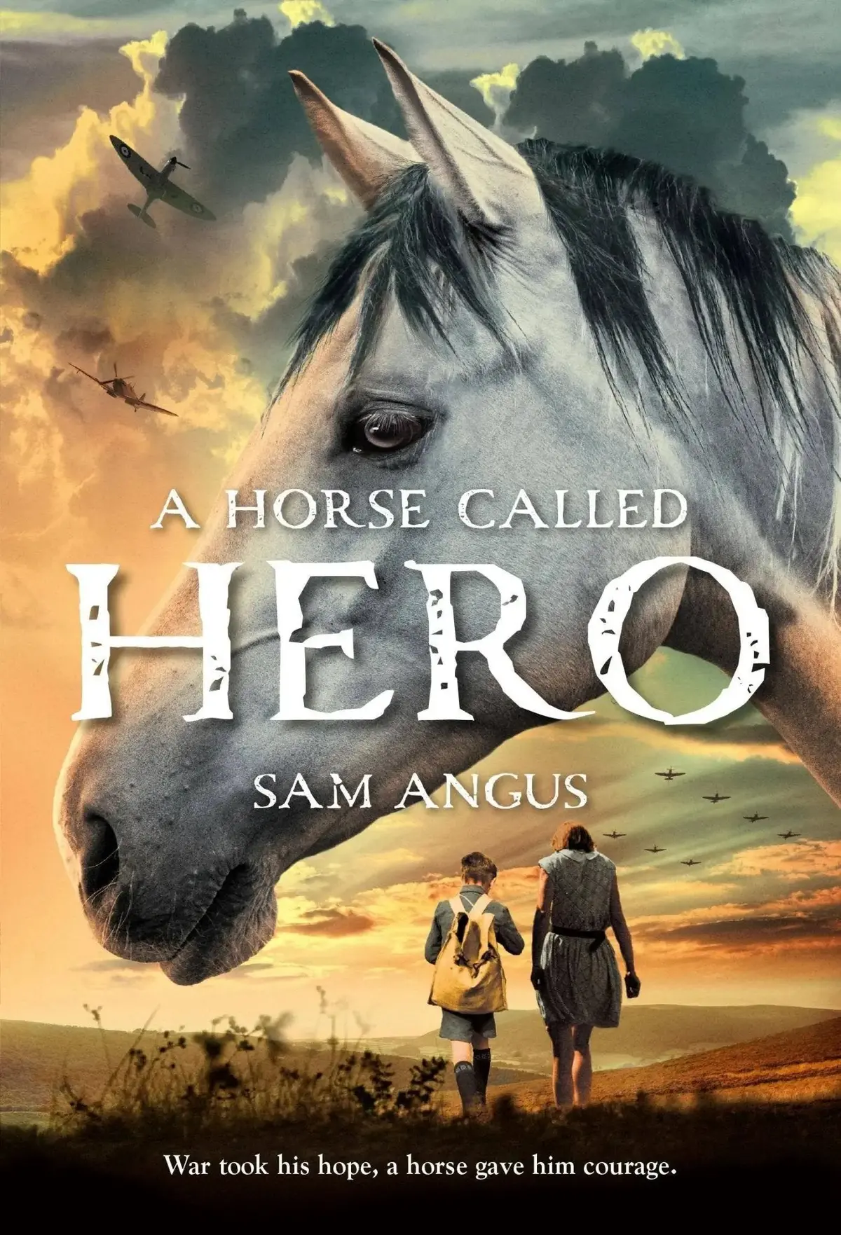 A Horse Called Hero 2
