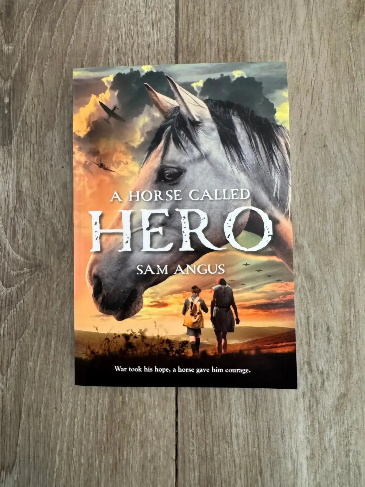 A Horse Called Hero 1