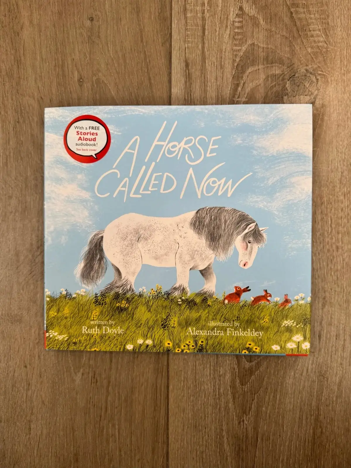 A Horse Called Now 1