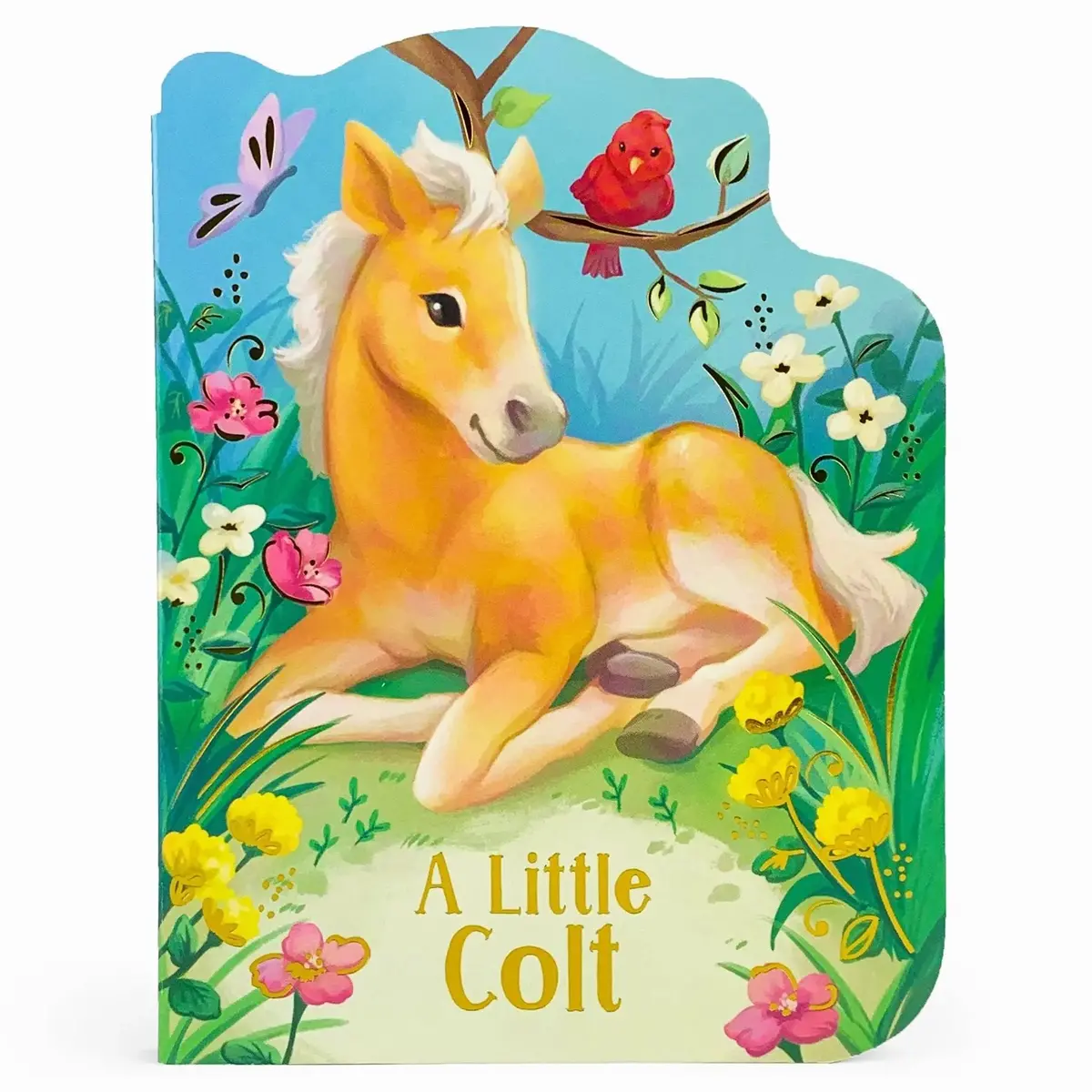 A Little Colt Book 1
