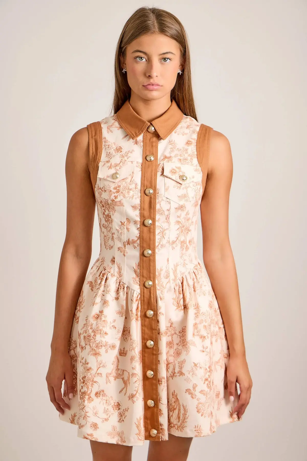 Royal Horse Toile Dress 1