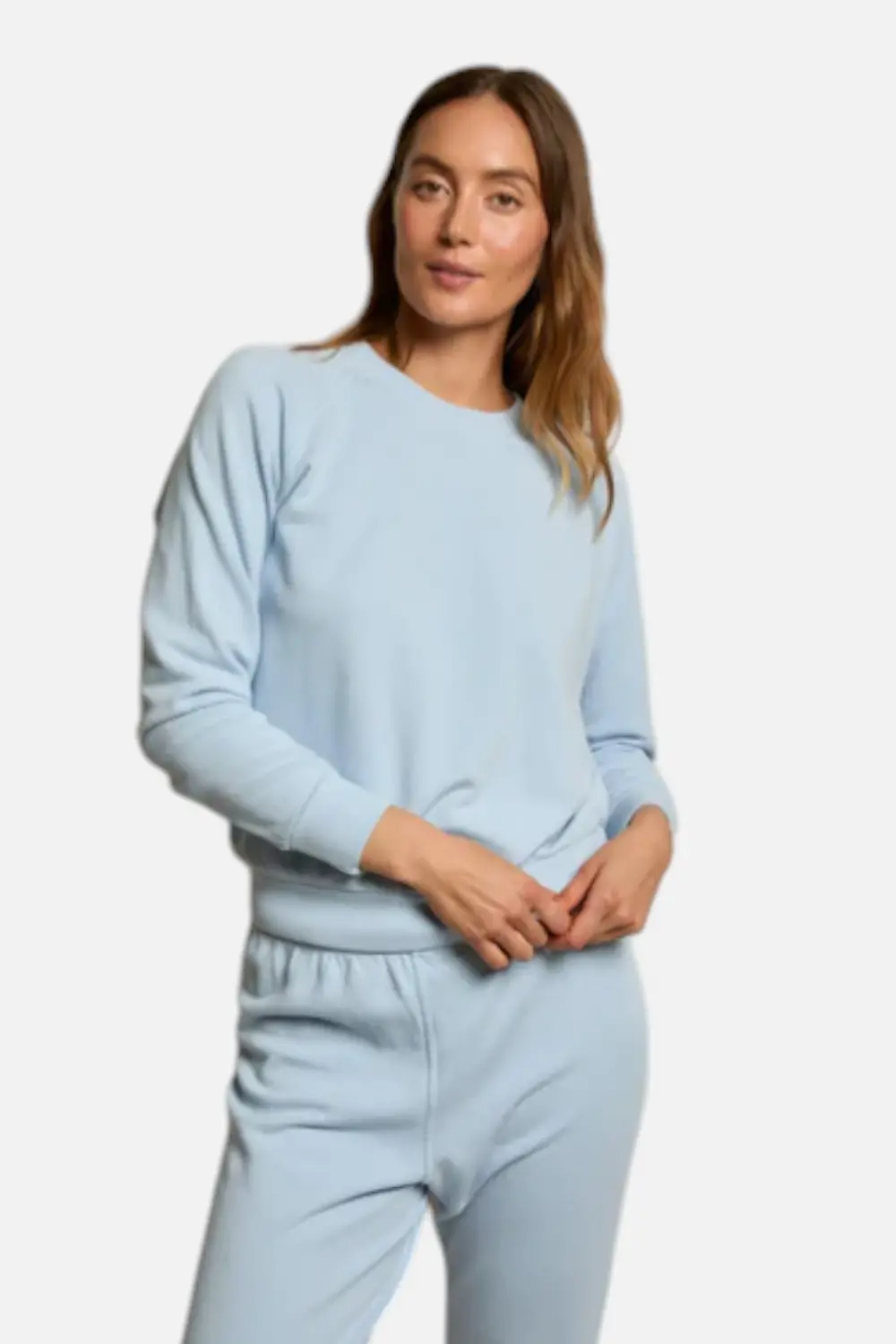 Perfect White Tee Alexi Crew In Powder Blue 1