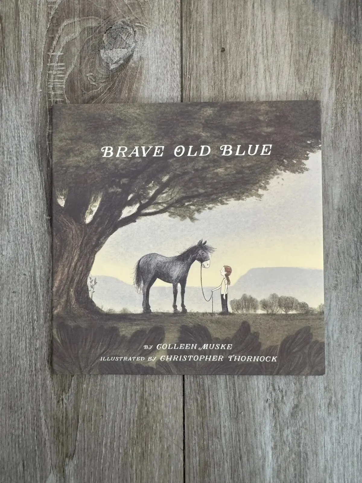 Brave Old Blue: A Horse Rescue Story 1