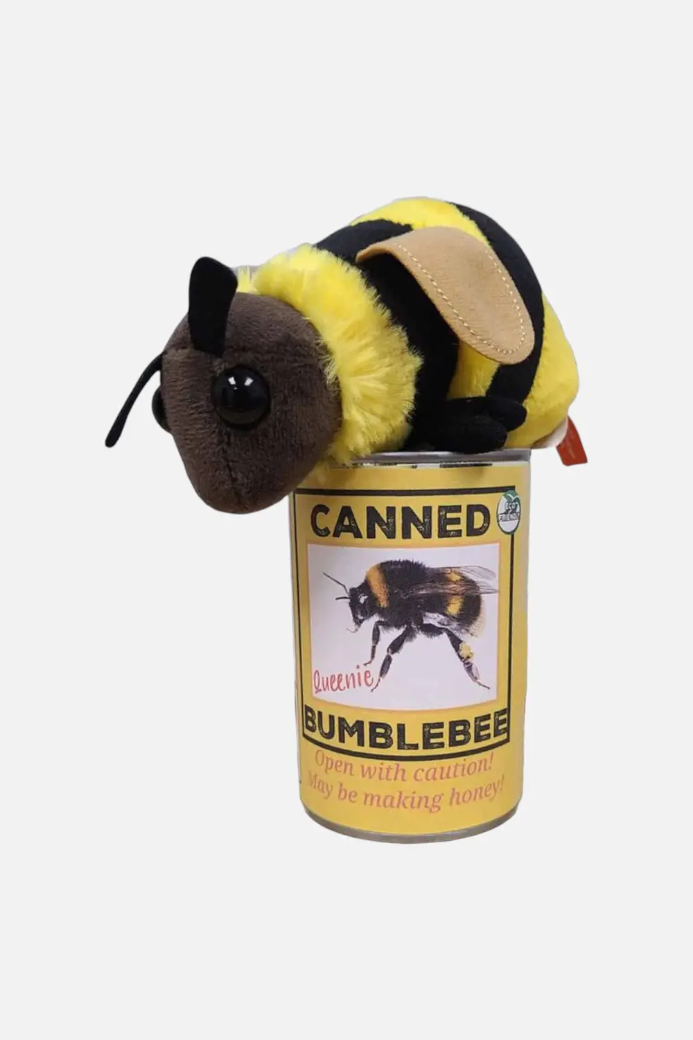 Canned Gifts Bumblebee 1
