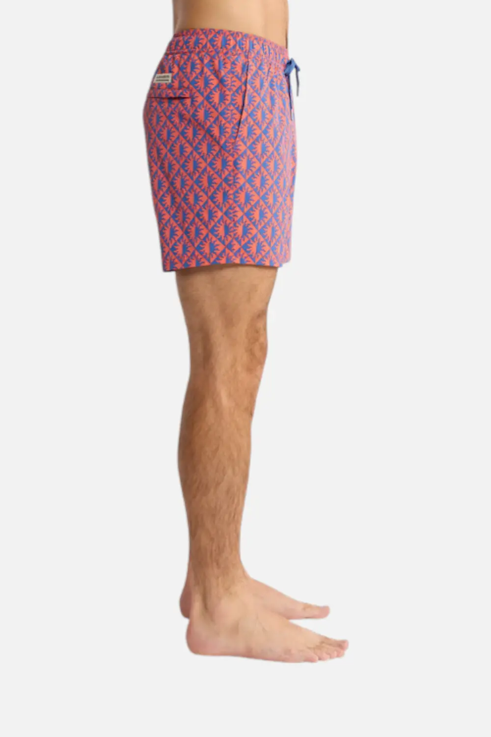 Fair Harbor Men's Bungalow Trunk In Cobalt Suns 2