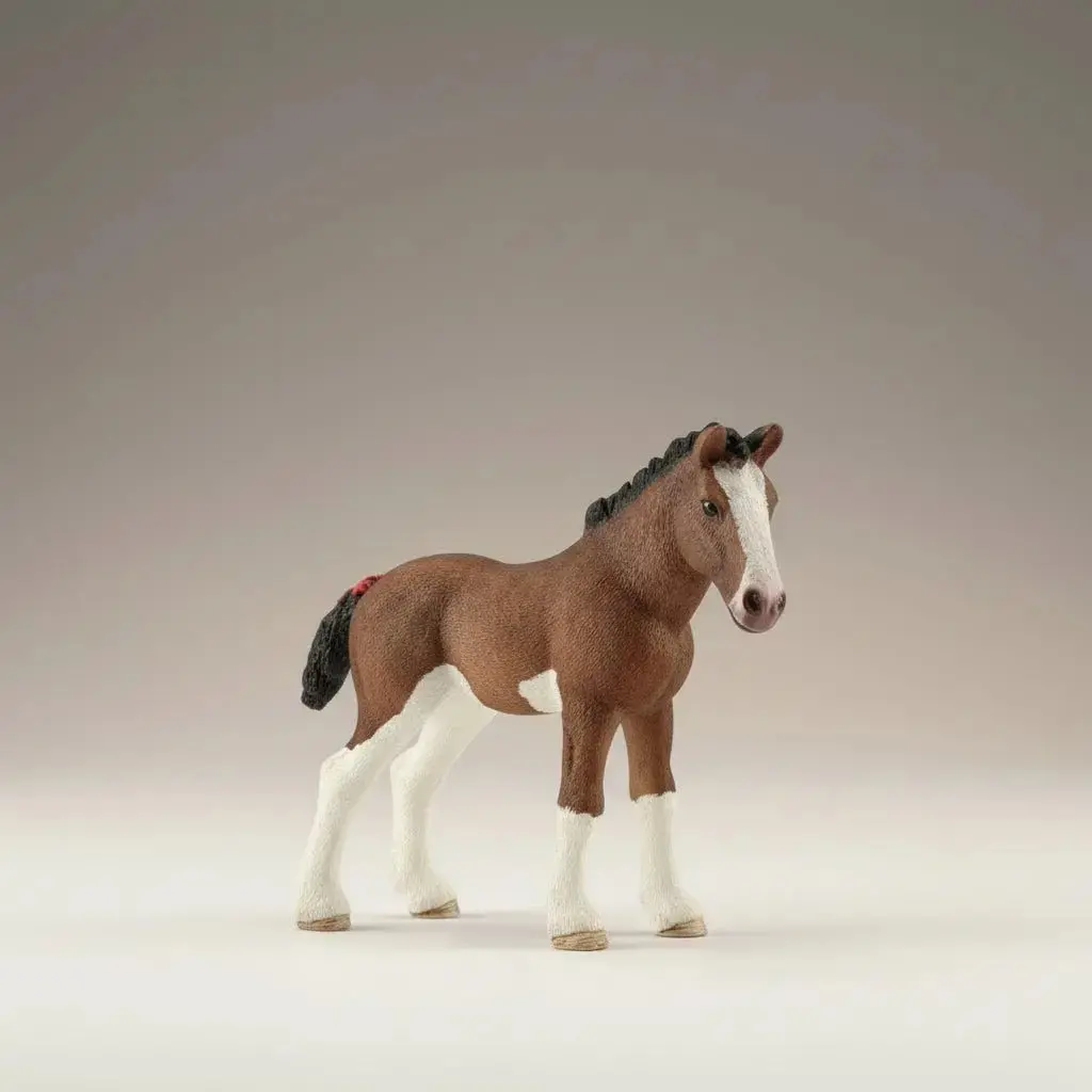 Clydesdale Foal 1