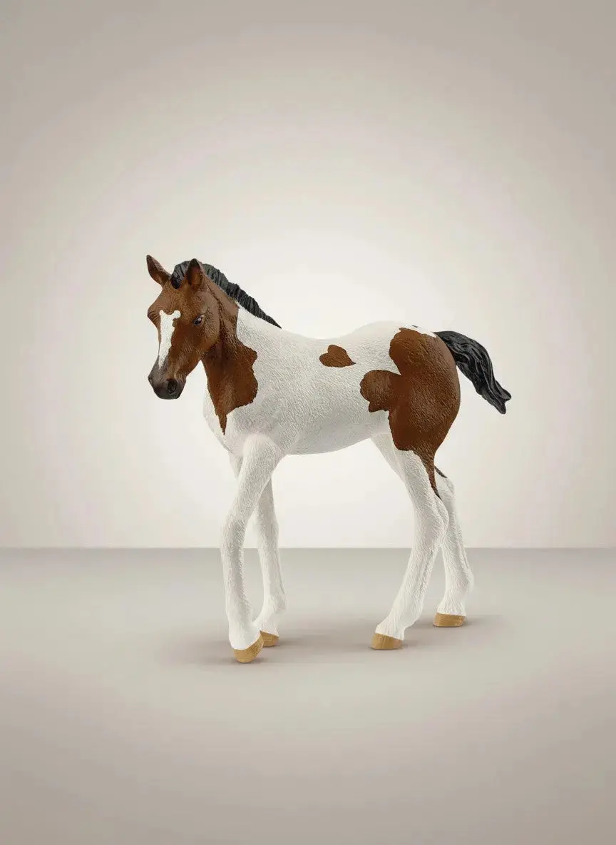 Sweetheart Paint Foal 1