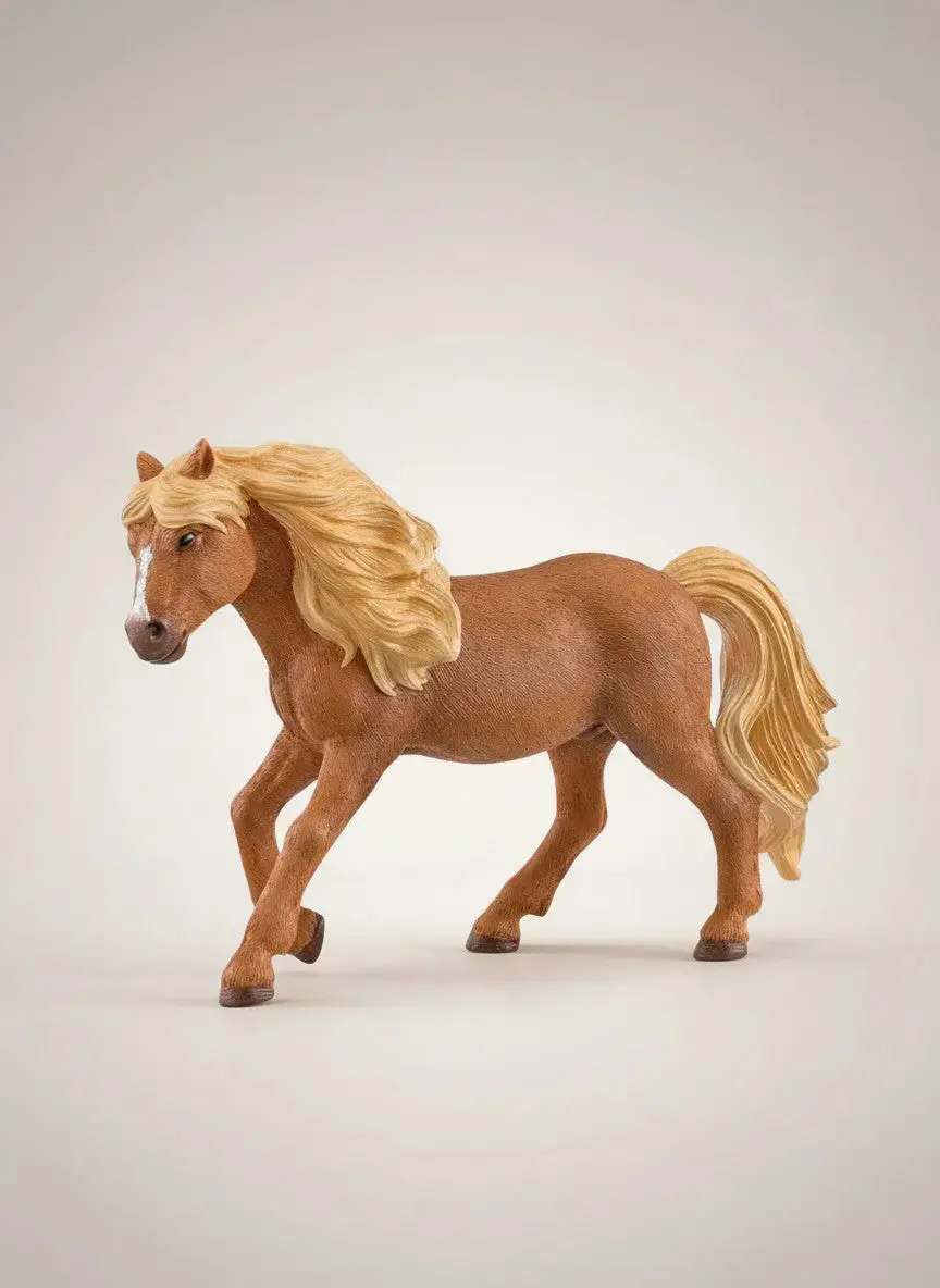 Mufasa The Haflinger Gelding 1