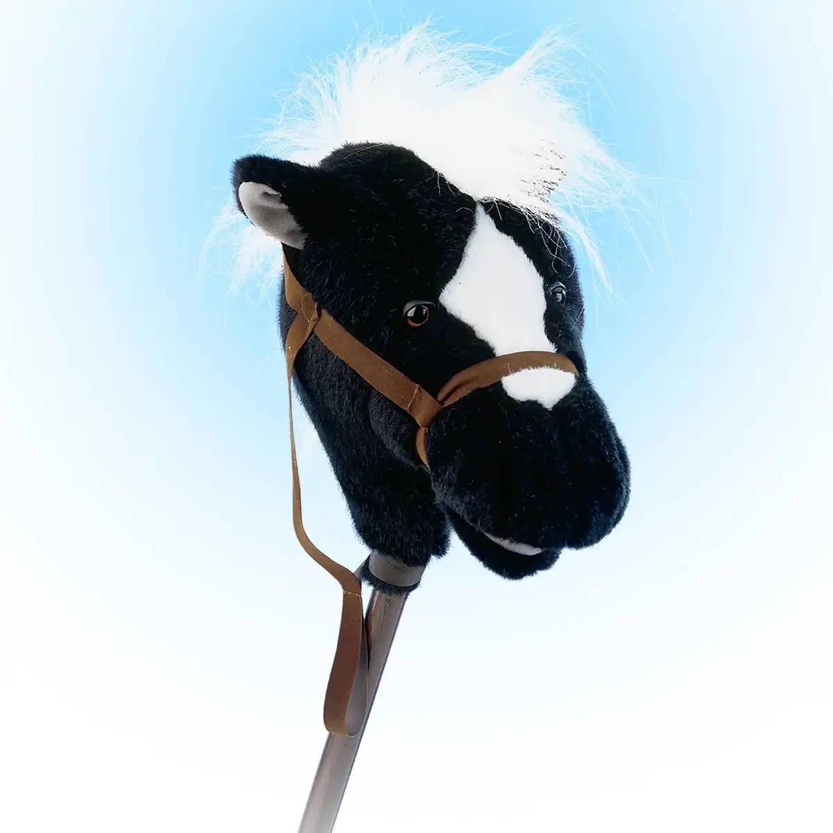 Easy Ride Black Hobby Horse 1