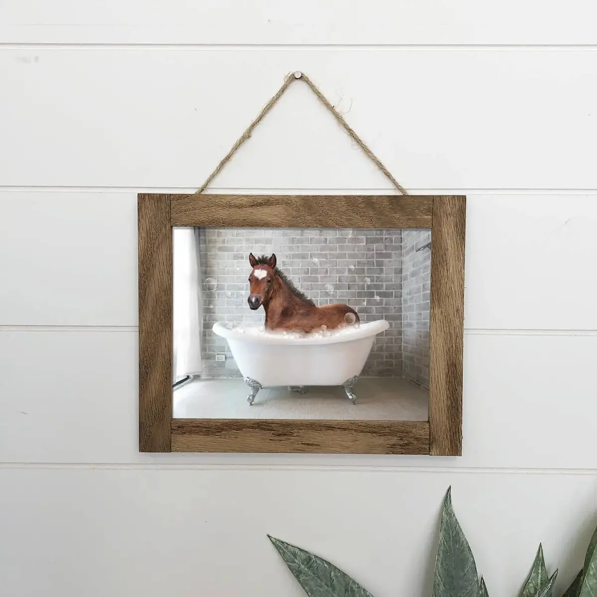 Foal In Bathtub Wood Sign 1