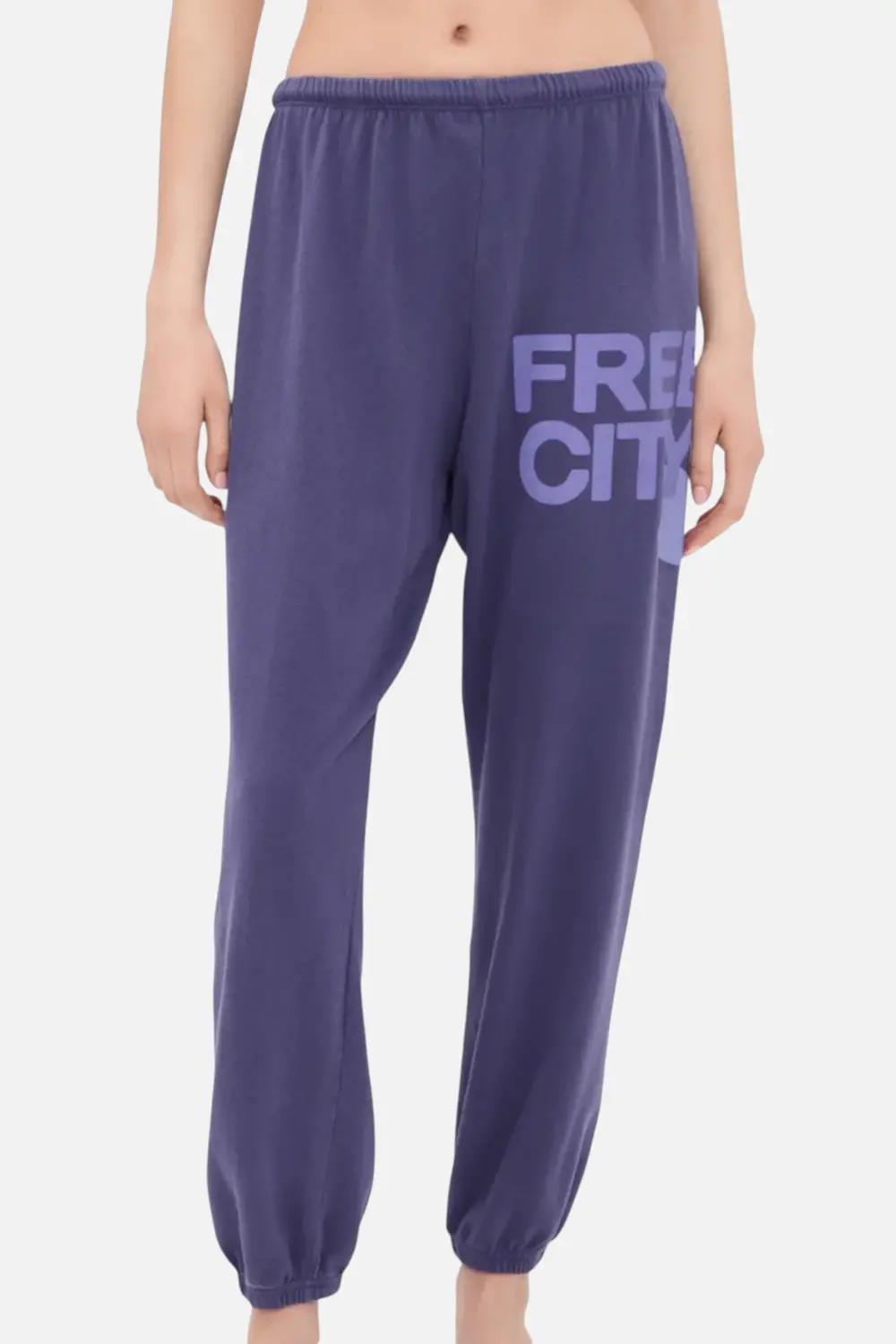 Free City Large Sweatpant In Purple Bushes 1