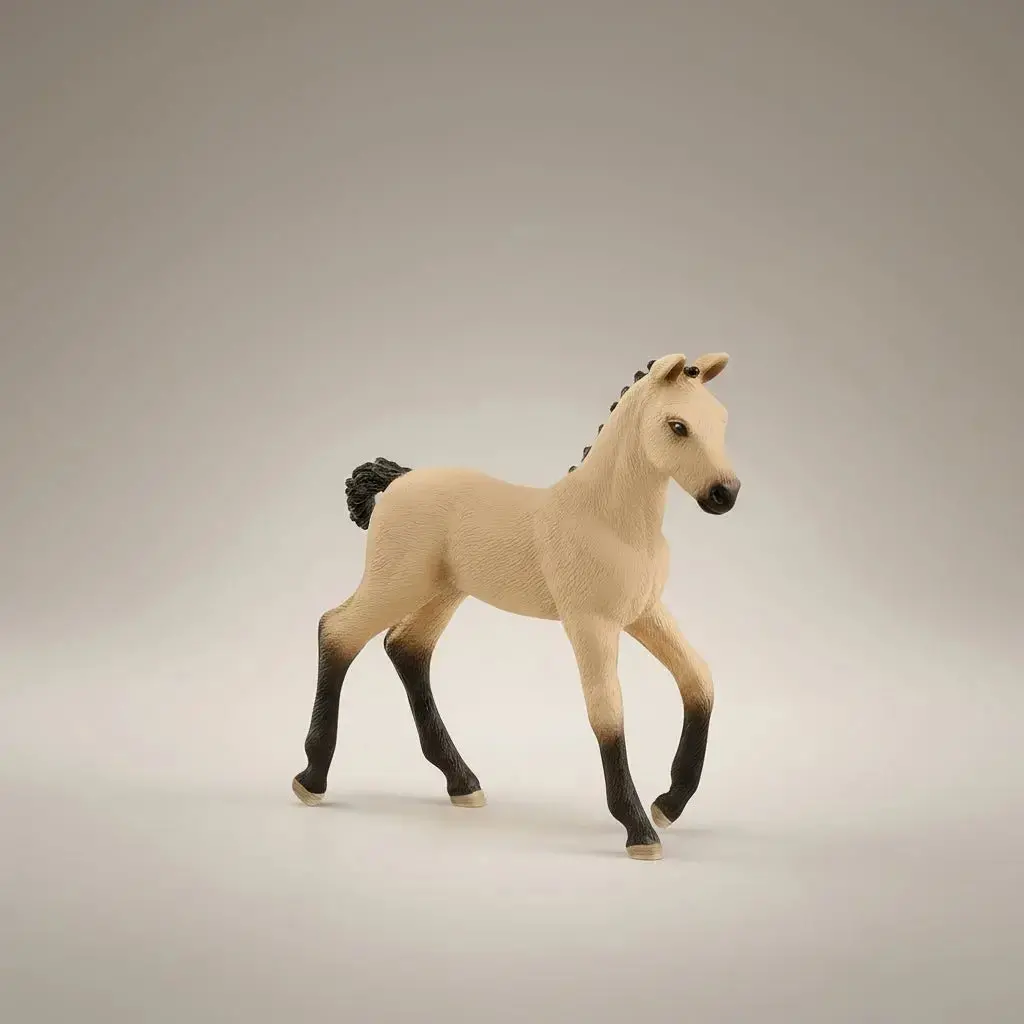 Hannoverian Foal 1