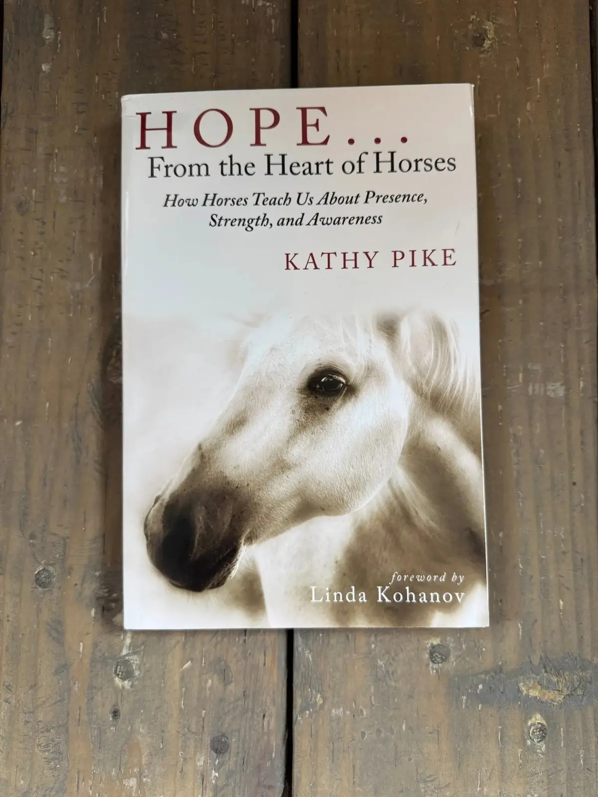 Hope... From The Heart Of Horses 1