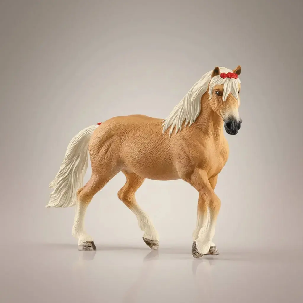 Hope The Haflinger Mare 1