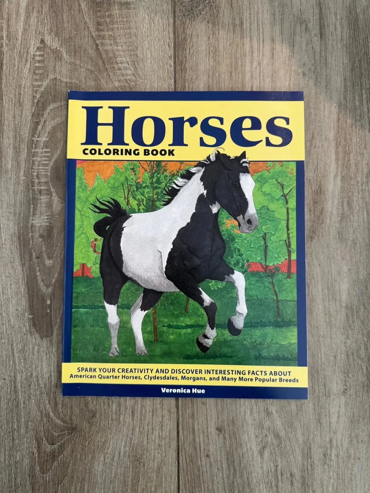 Horses Coloring Book 1
