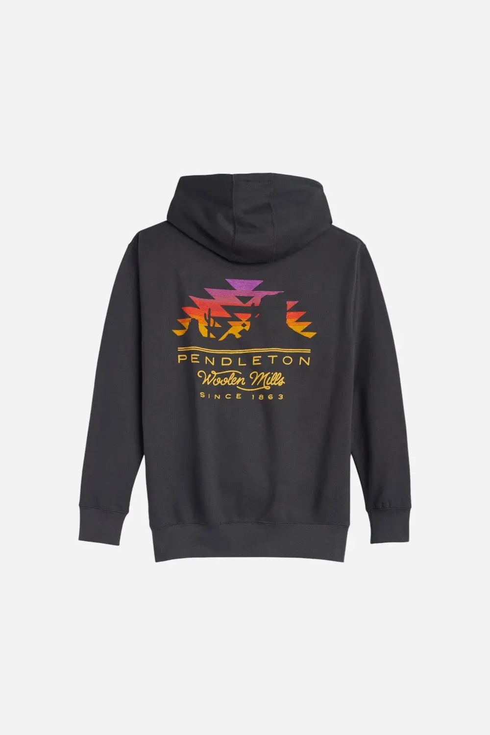 Pendleton Desert Sun Graphic Hoodie 1