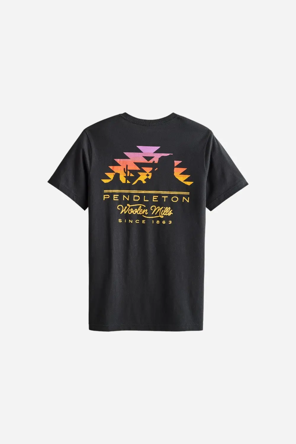 Pendleton Desert Sunset Graphic Tee 1