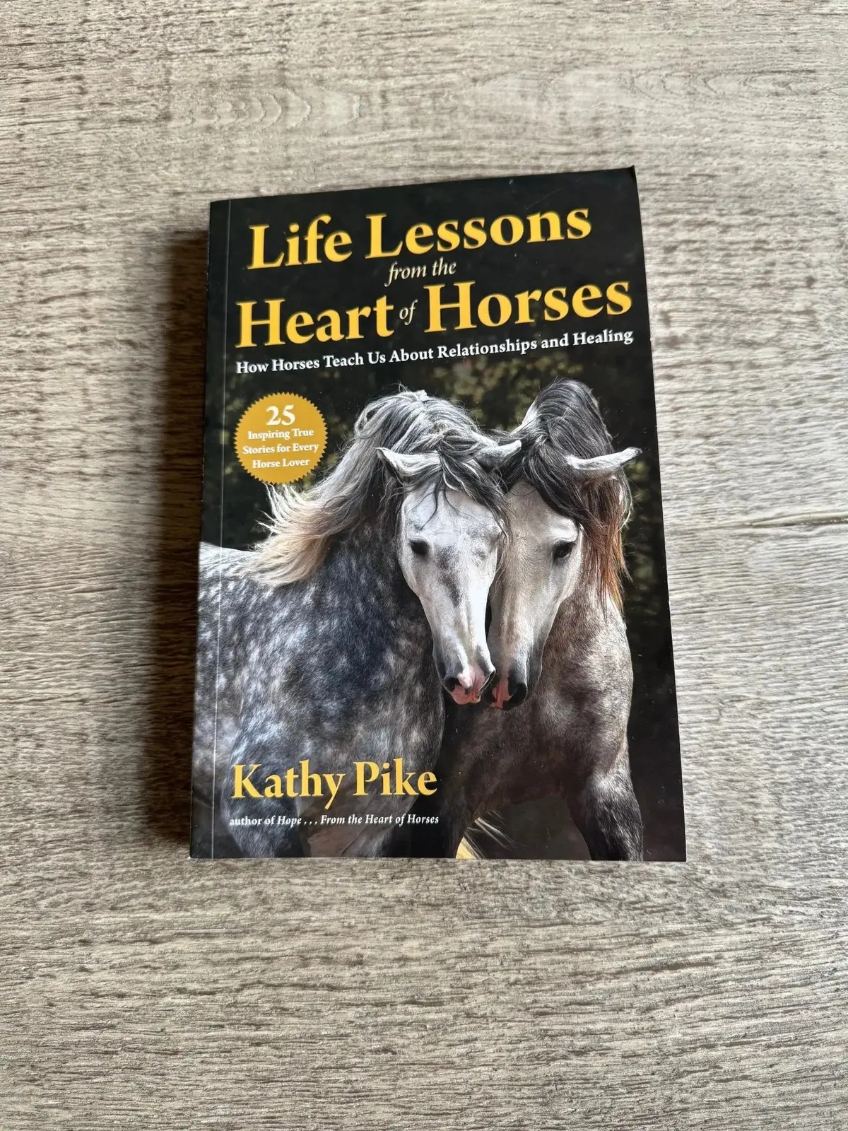 Life Lesson From The Heart Of Horses 1