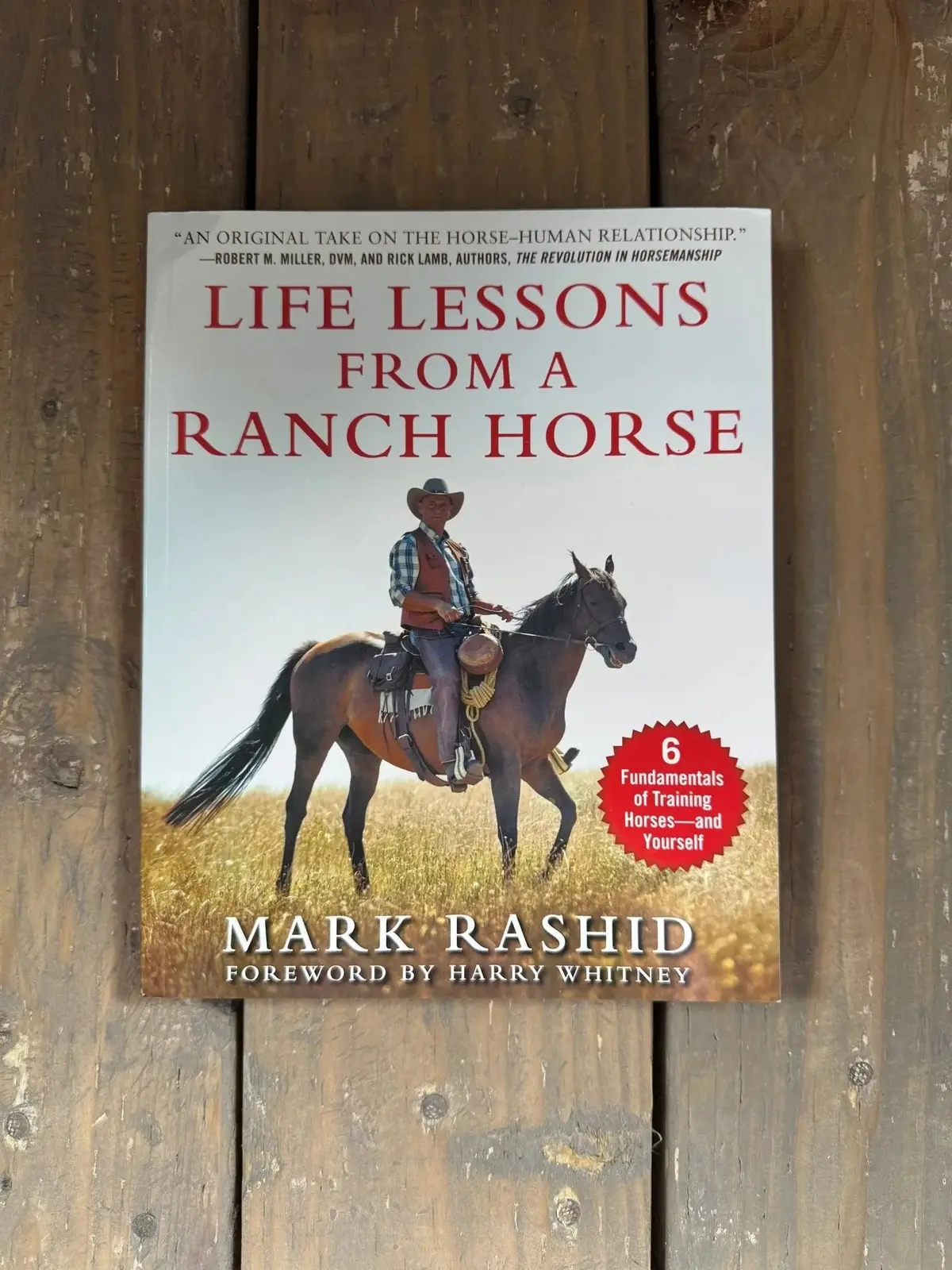 Life Lessons From A Ranch Horse 1