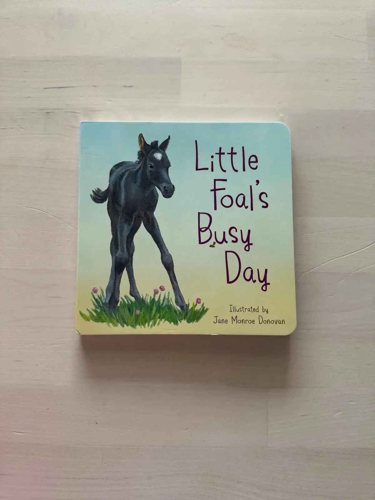 Little Foal's Busy Day 1