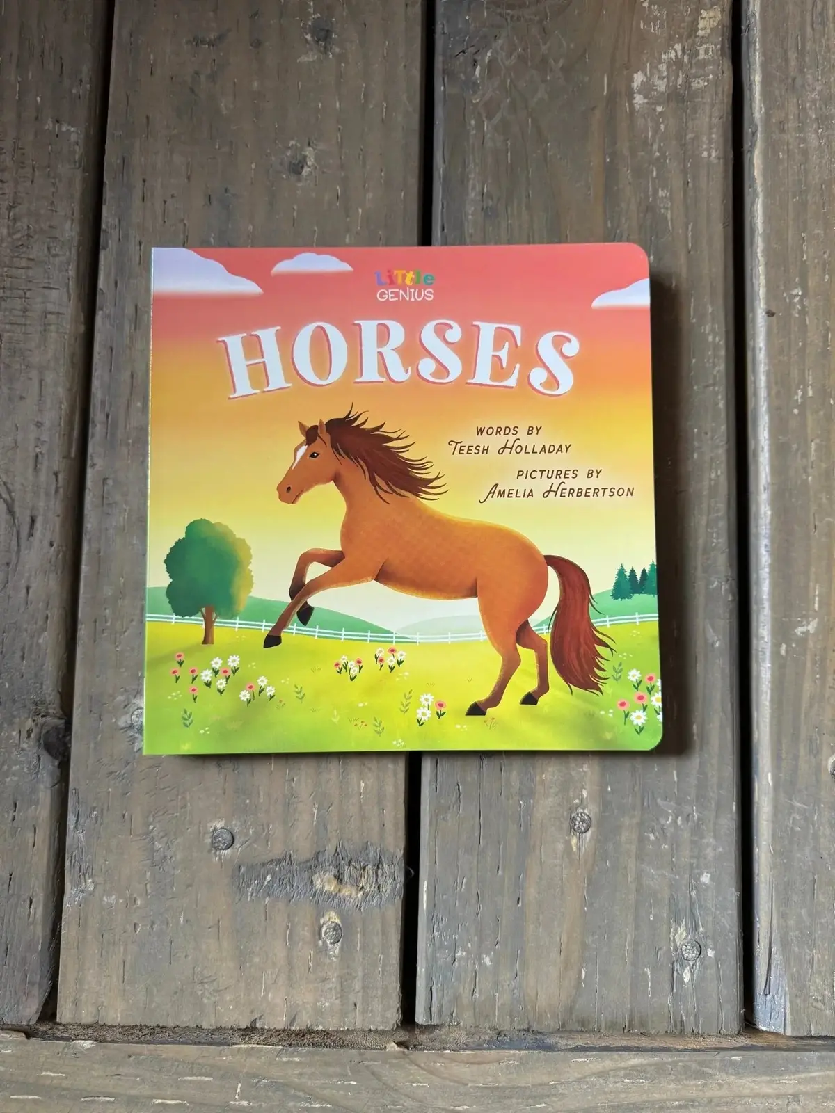 Little Genius Horses 1