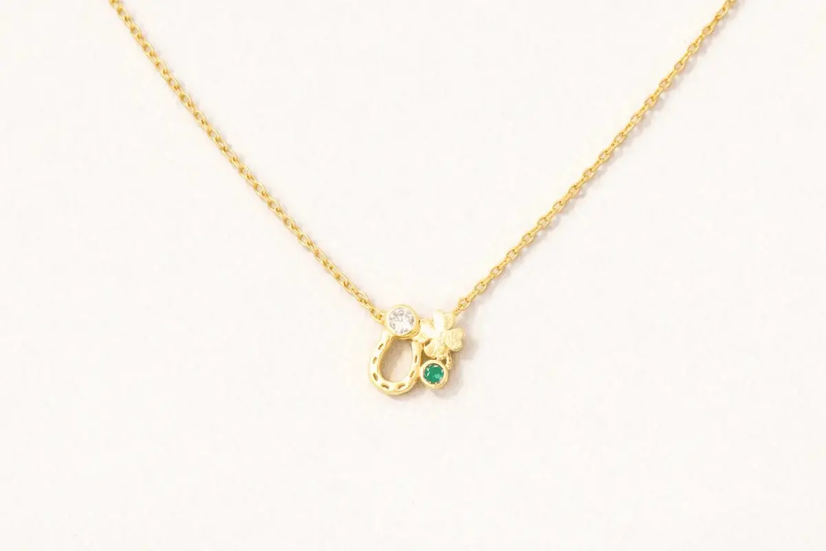 Lucky Charm Horseshoe Necklace 1