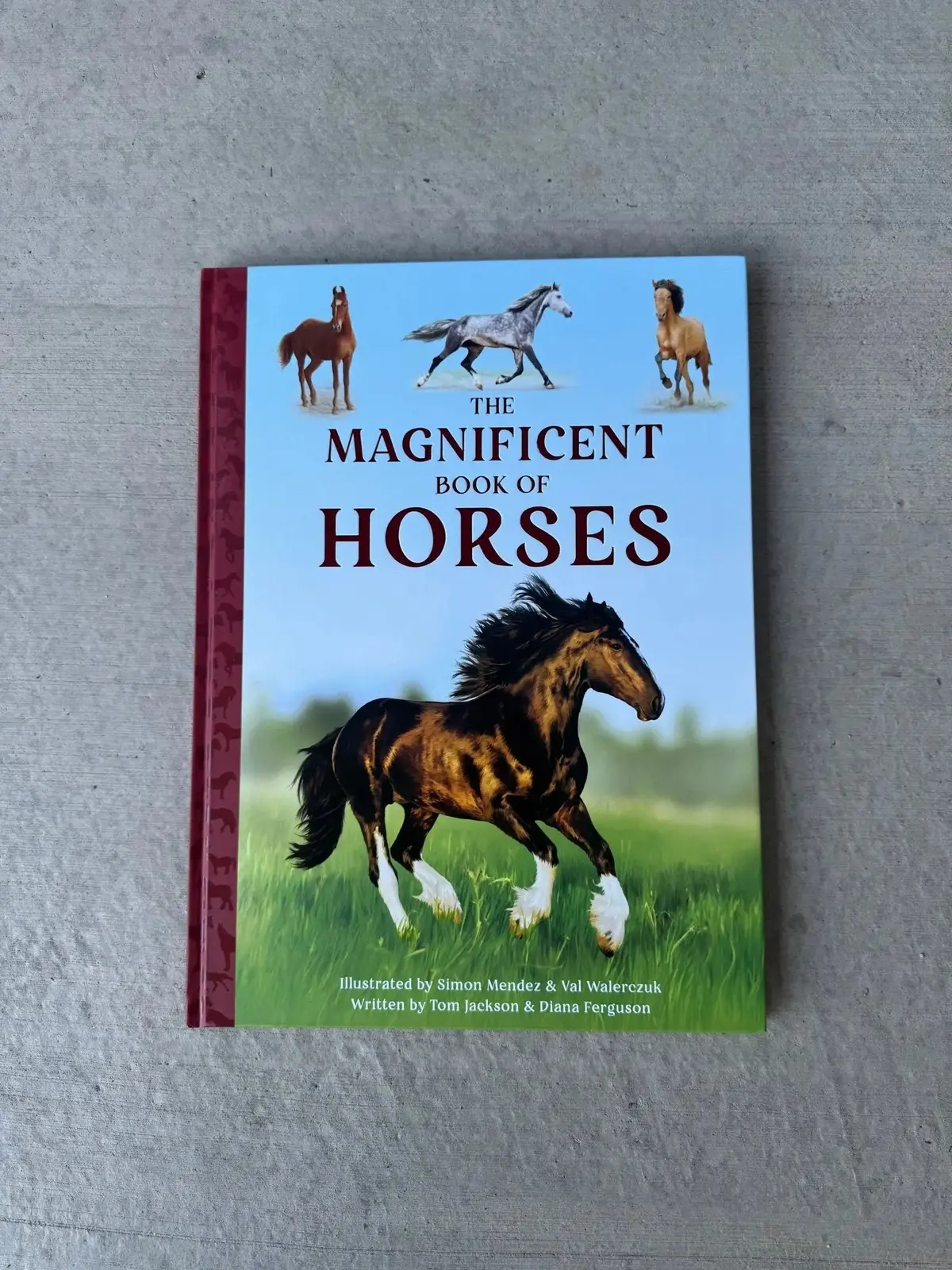 Magnificent Book Of Horses 1
