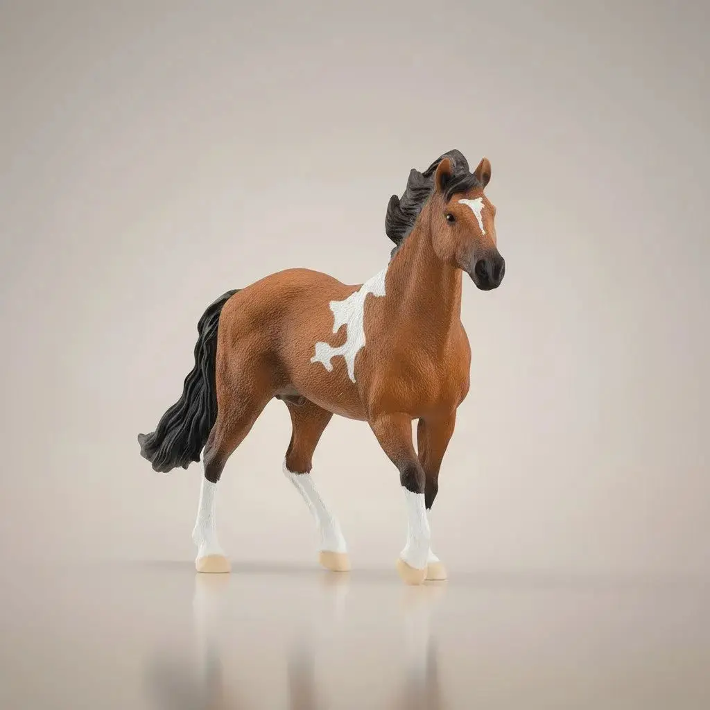 Mangalarga Marchador Horse 1