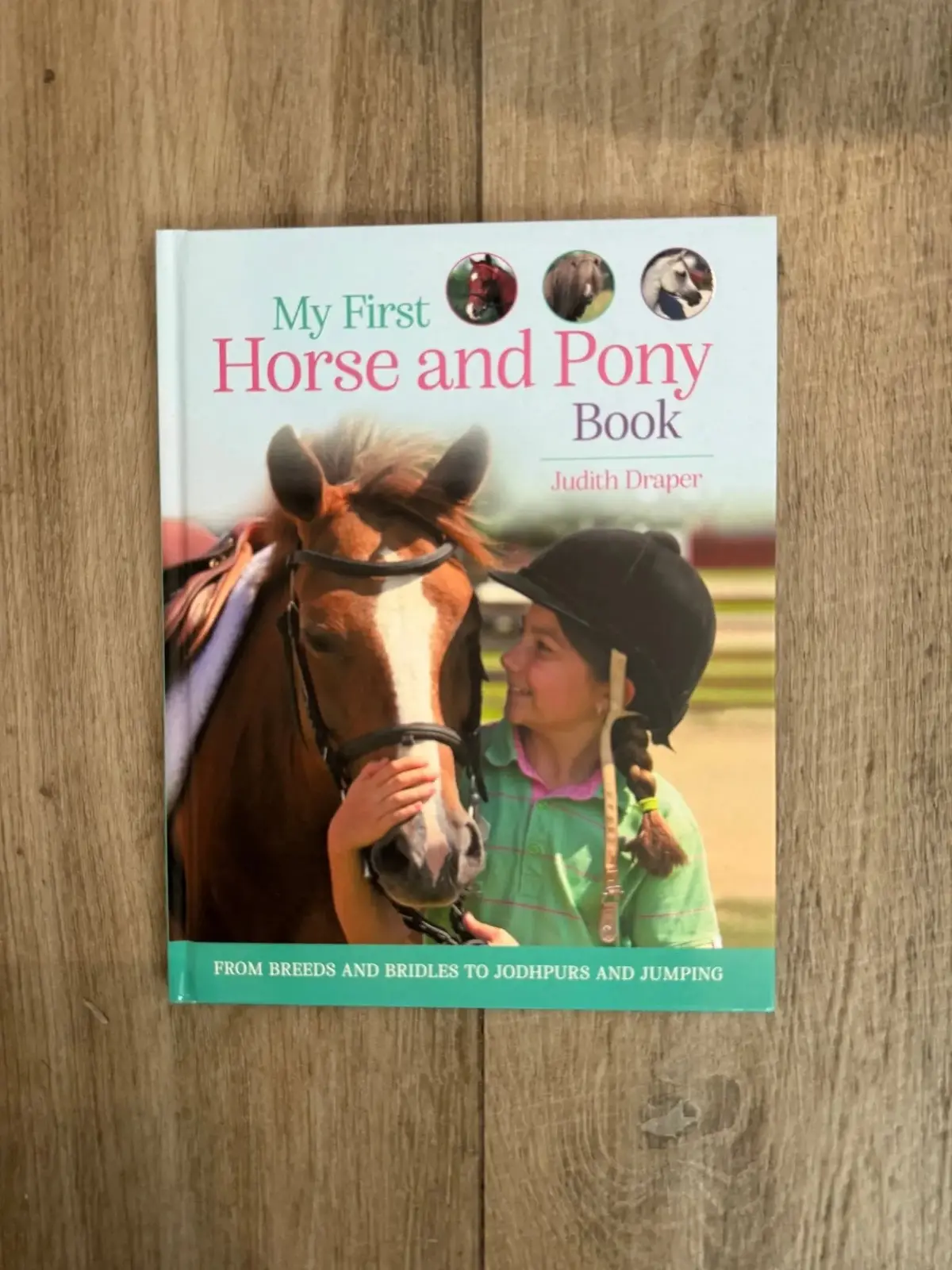 My First Horse & Pony Book: Breeds, Gear, & Jumping 1
