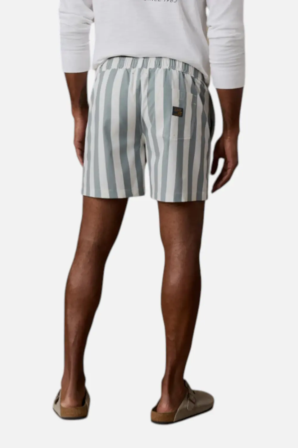 Faherty All Day Trunk 6" In Sage Awning 3