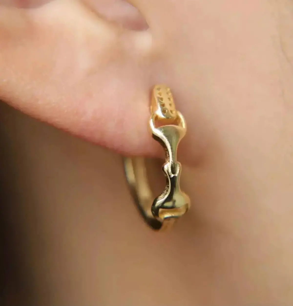 Snaffle Bit Hoop Earrings 1