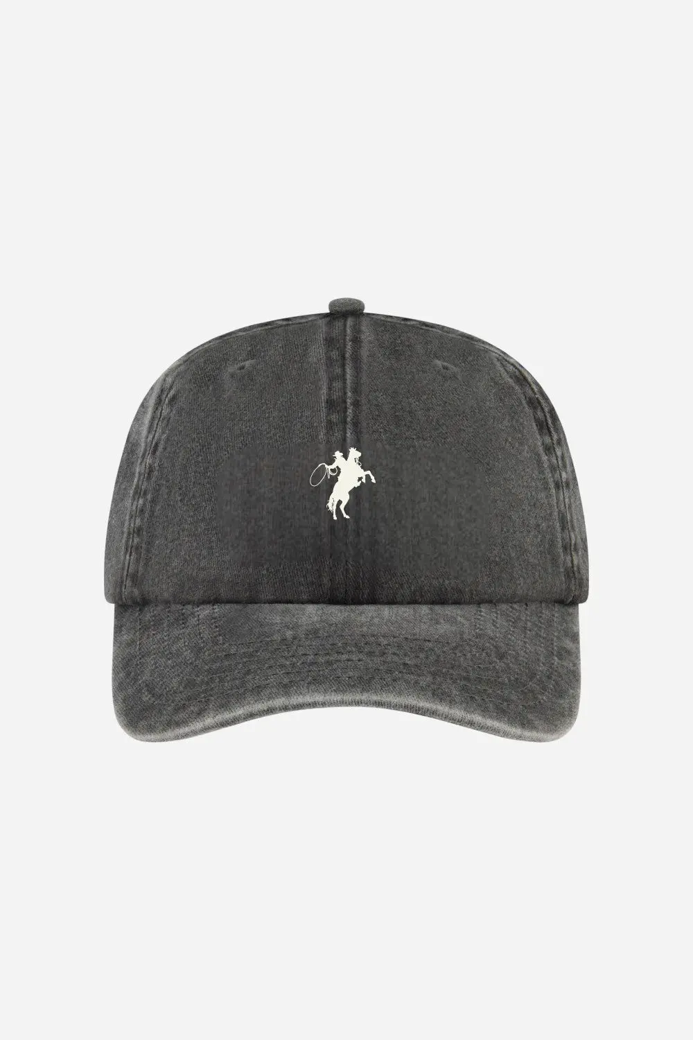 Laundry Room Giddy Up - Papa Cap In Black Snow 1