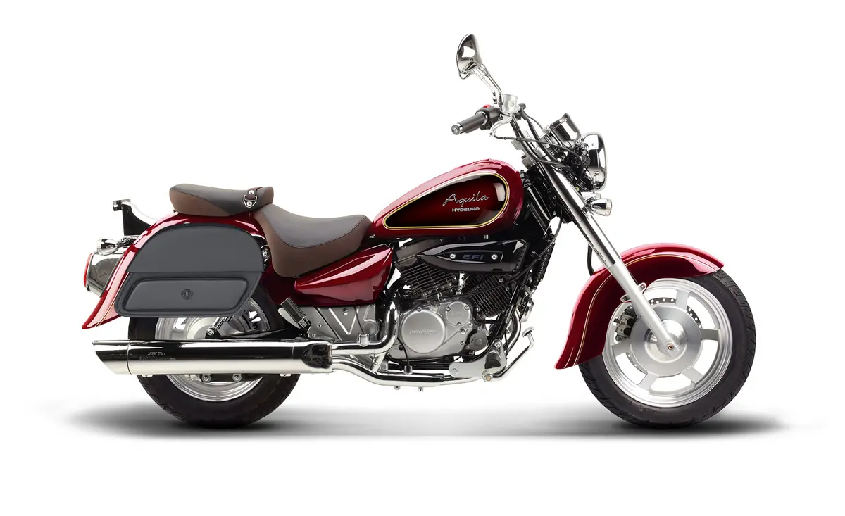 32L - Pantheon Large Hard Mount Shock Cutout Hyosung Aquila Gv 250 Saddlebags 2