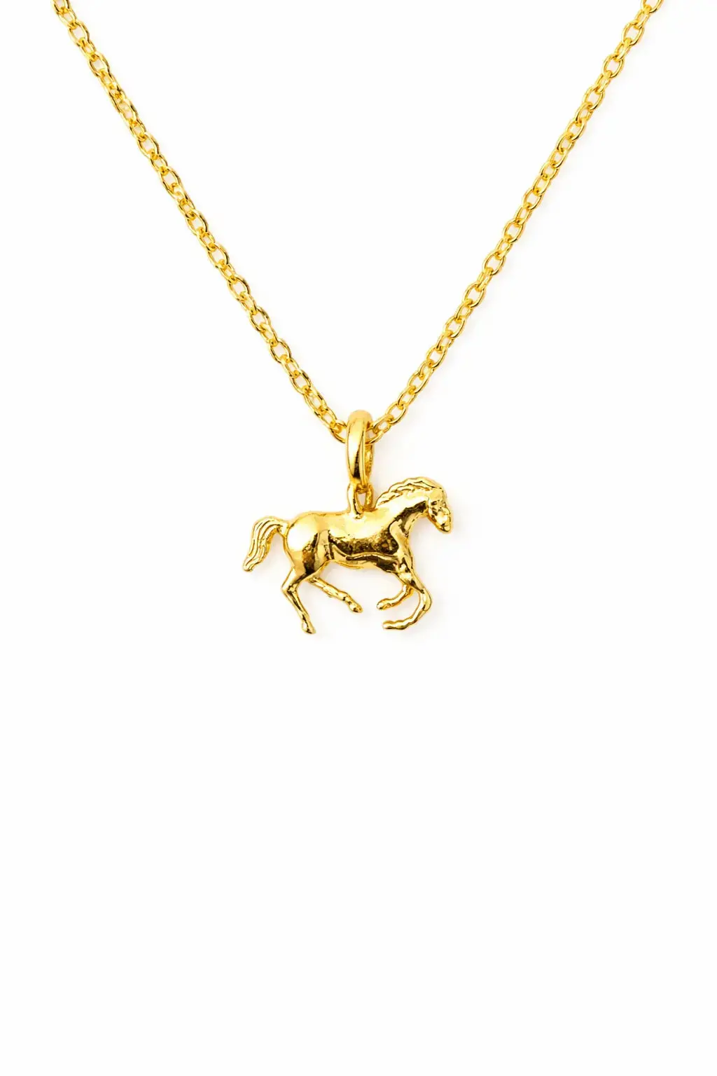 Year Of The Horse Necklace 1